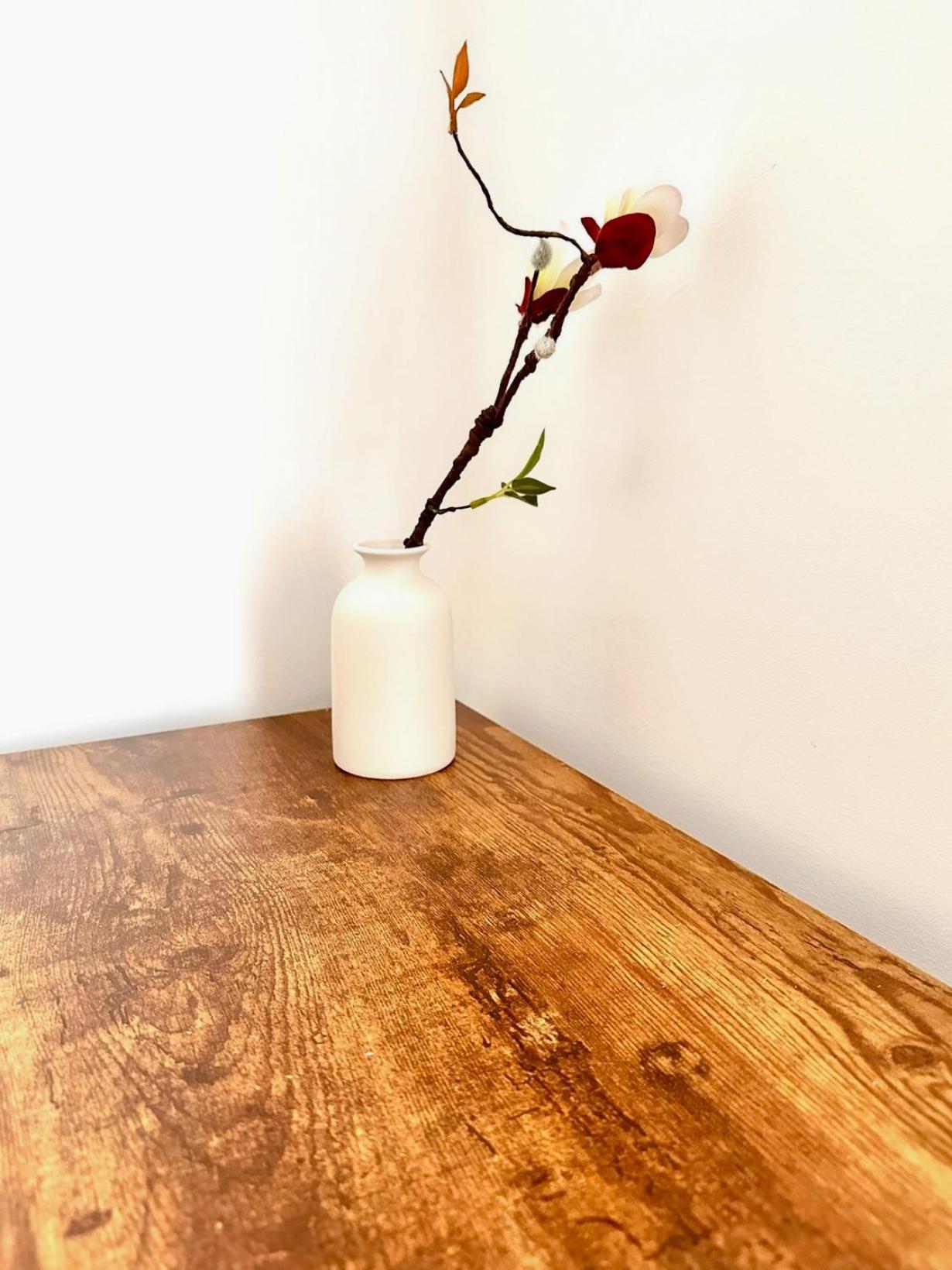 Boho Vibe Centrally Located In City Séjour chez l'habitant Portsmouth